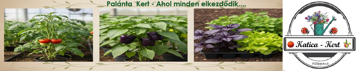 Katica - Kert